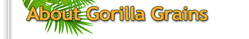 About Gorilla Grains